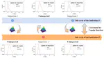 Copula-Based Collaborative Multistructure Damage Diagnosis and Prognosis for Fleet Maintenance Digital Twins